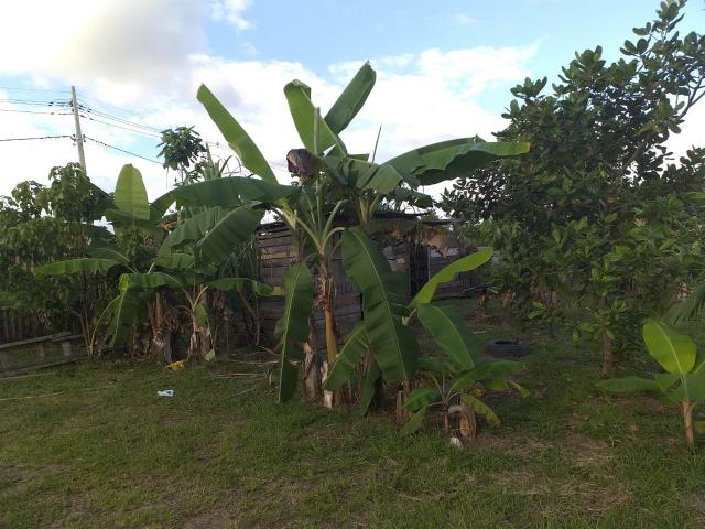 Troco por colônia essa casa ! - Foto 5