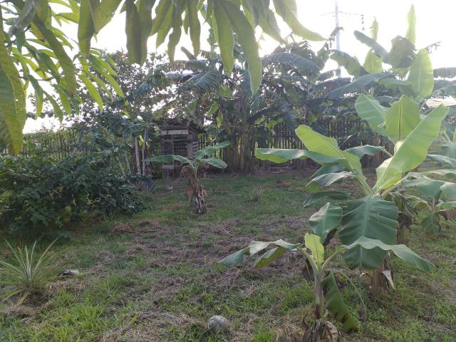 Troco por colônia essa casa ! - Foto 2