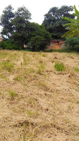 Lote - Foto 3