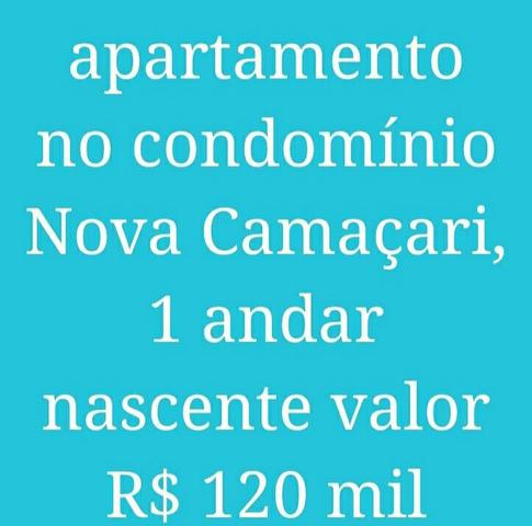 Apartamento - Foto 4