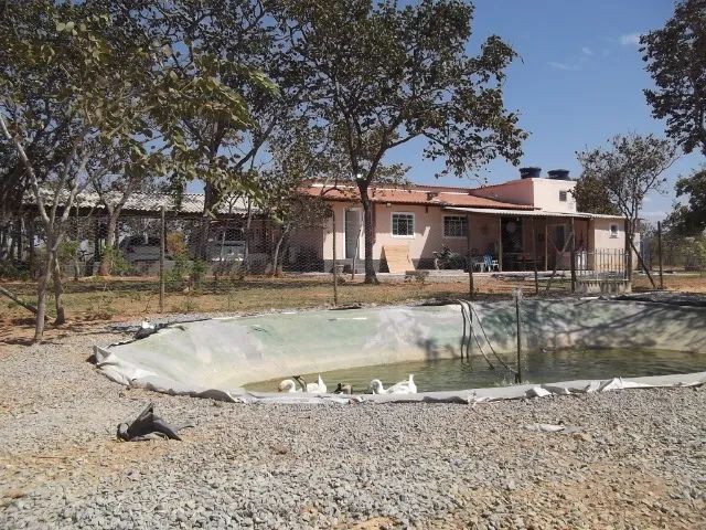 Sitio 20.000m² bem localizado, com sauna, piscina, poço de peixe artificial.