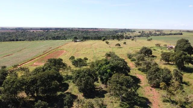 Chácara 9 hectares a 1,5 km da cidade de Bandeirantes - MS! - Foto 5