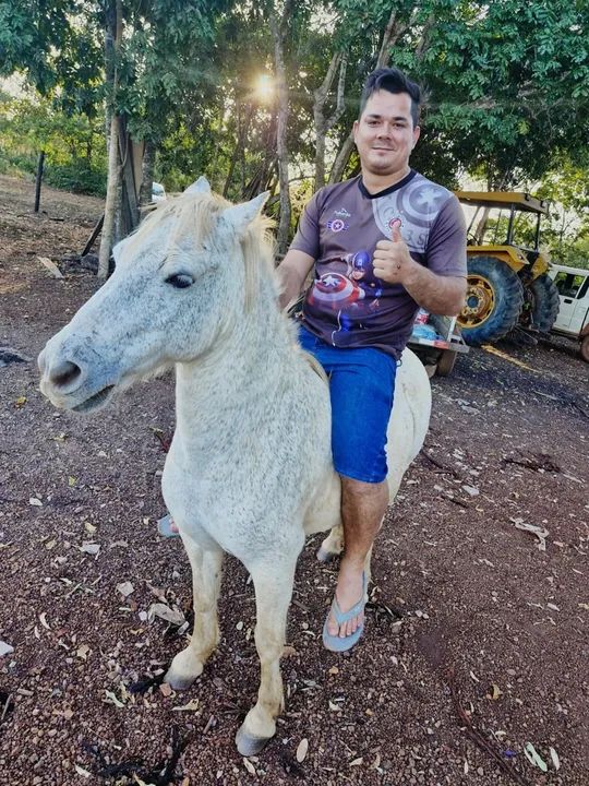 Pôneis três pôneis 2 fêmeas e um macho - Foto 3