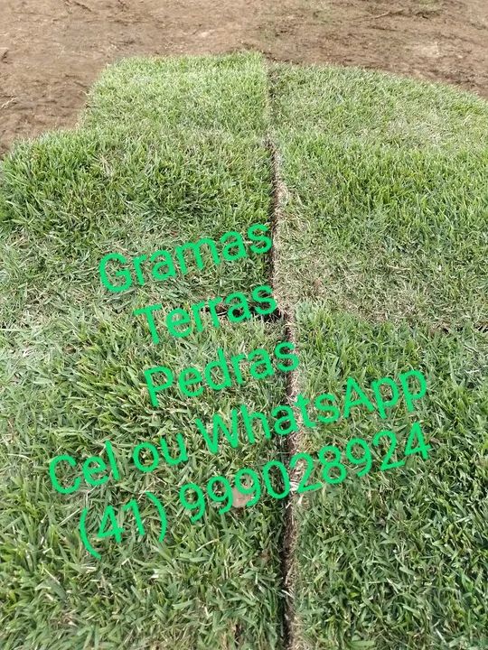 Terra preta ,gramas - Foto 5