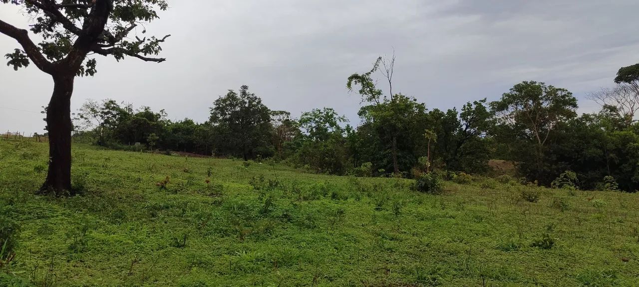 Chácara em Aragoiania  - Foto 5