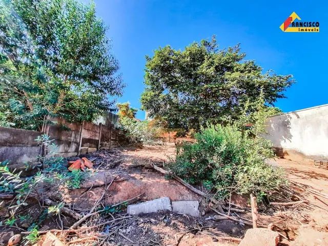 Lote à venda, Santa Rosa - Divinópolis/MG - Foto 3