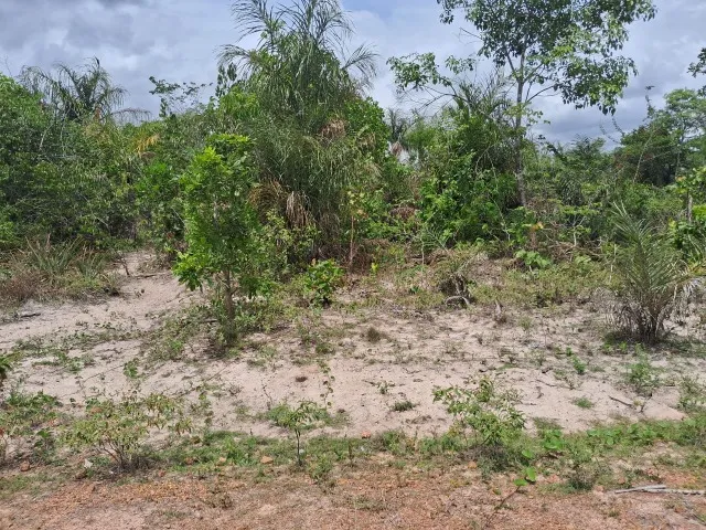 Terreno perfeito para sítio ou moradia a 5 km do centro de Altos-PI