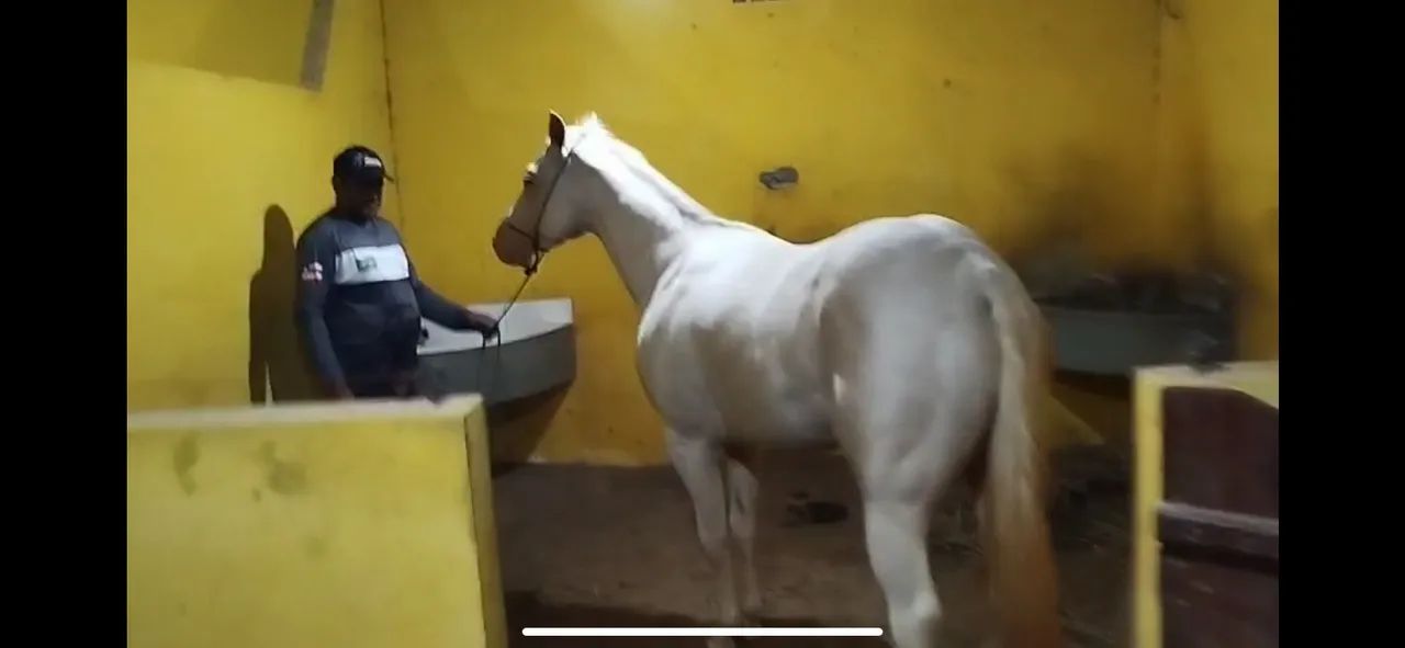 Destiny spark  - Foto 3