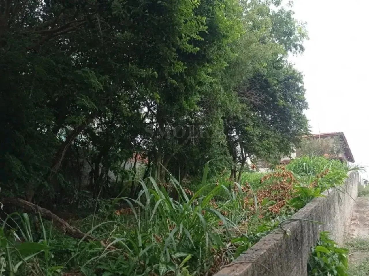 Terreno com 456m2 a venda no Santinho - Florianópolis/SC. - Foto 3