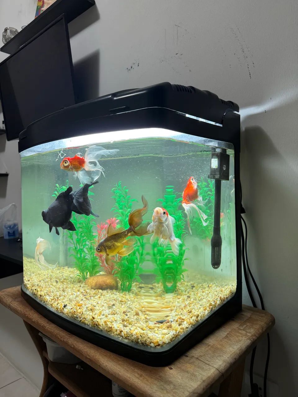 Vendo aquário completo  - Foto 3