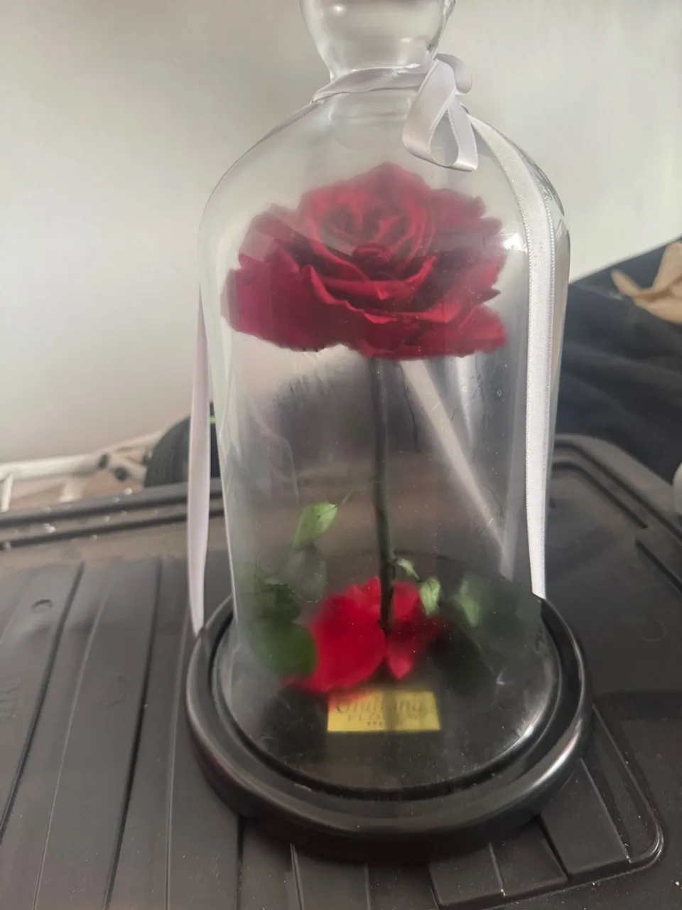 Rosa encantada Giuliana flores