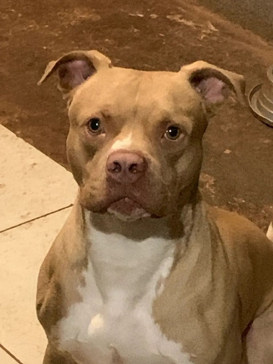 A Procura de uma Namorada  - Foto 3