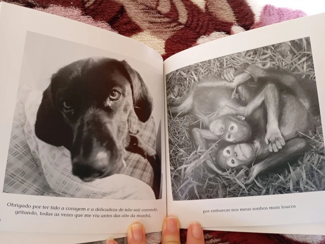 Livro  - Foto 2