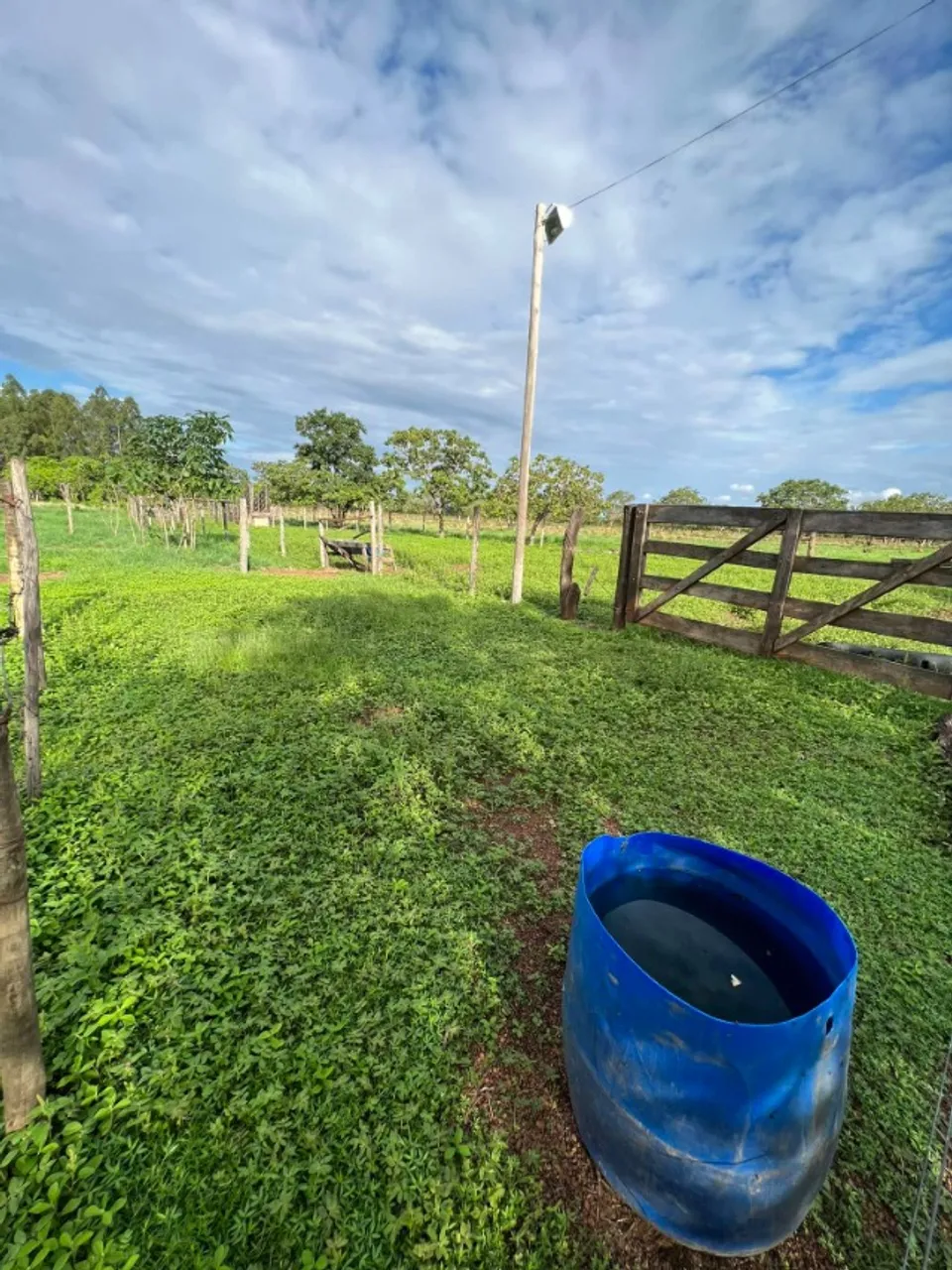 Fazenda, sitio, entre Unai e Paracatu, próximo a Brasília, sessão de direitos, aceito troc