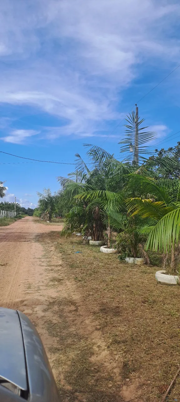 Lotes de 2.000 mil , m² Rodovia Am 070 km14