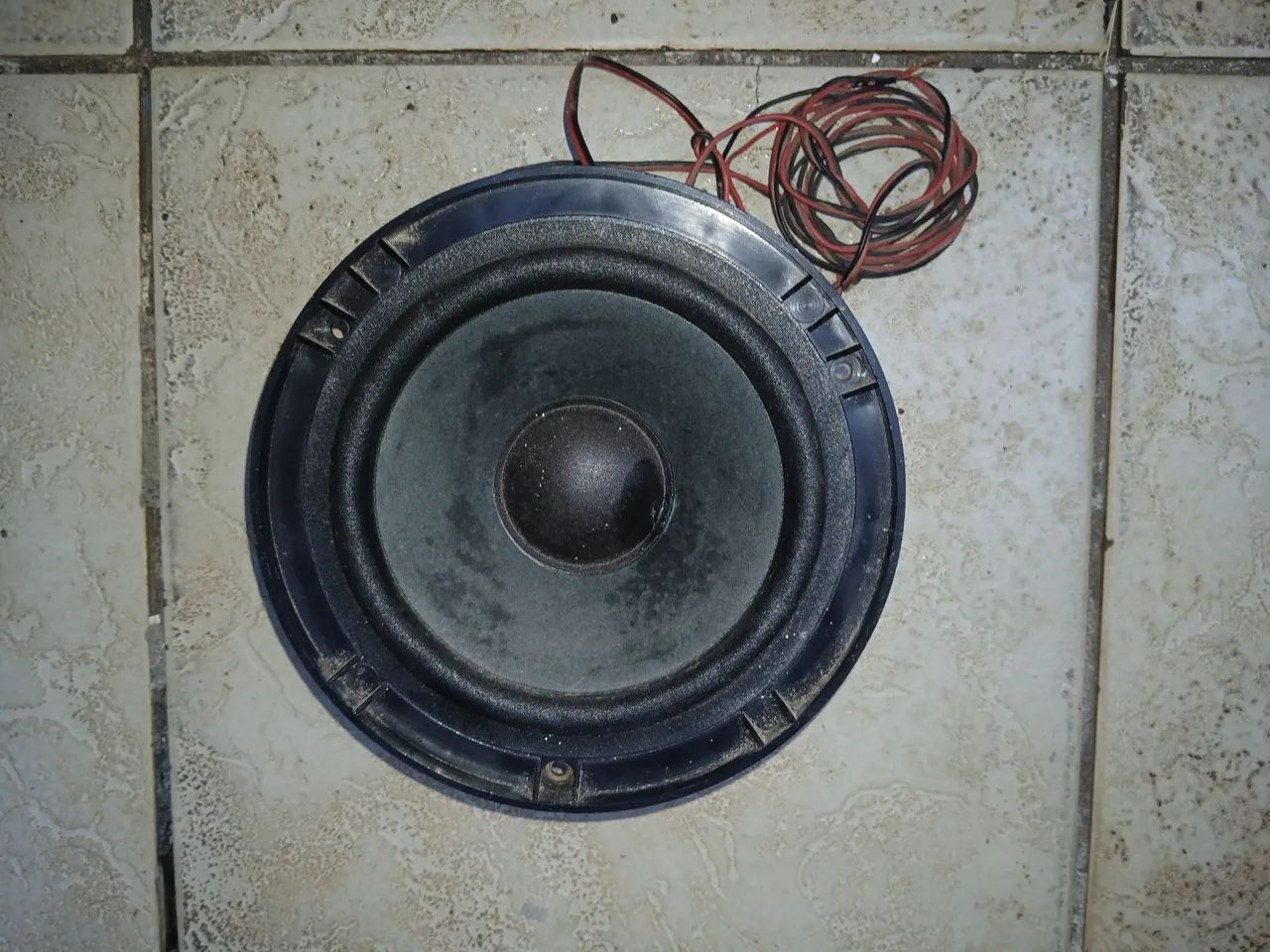 Auto falante 8 polegadas 