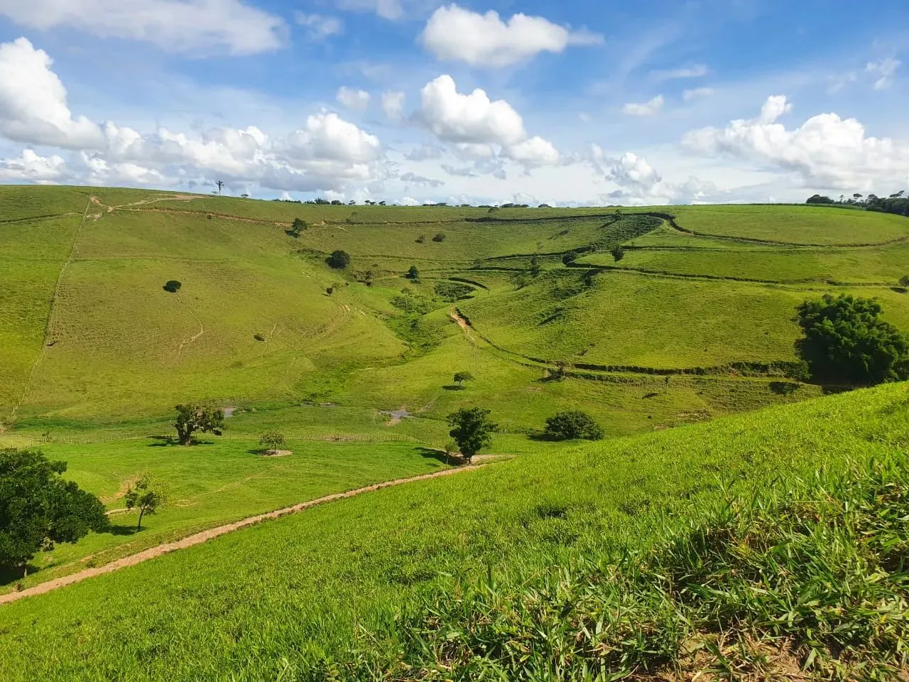 Excelente Propriedade Rural em Matriz de Camaragibe/AL