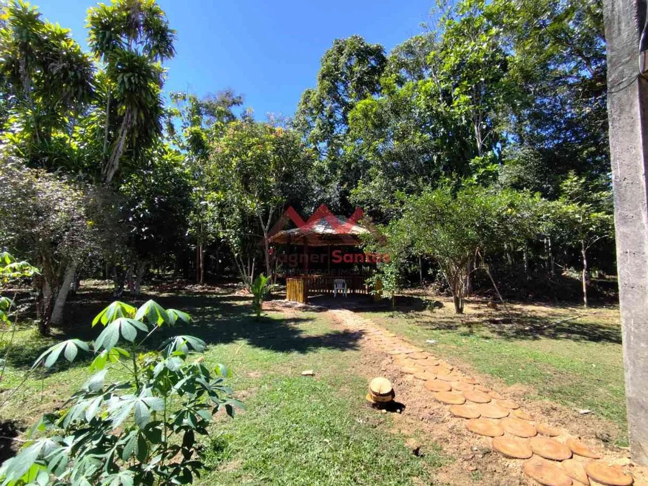 Chácara para Venda com 31.500 m², Linha Progresso, Marcos Freire - Porto Velho - RO - Foto 12