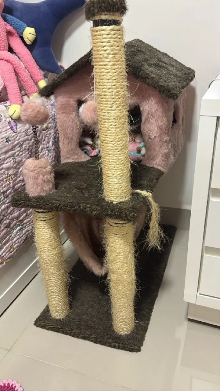Casinha e arranhador para gatos