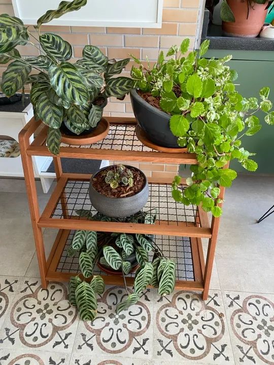 Floreira horizontal de madeira de eucalipto  - Foto 2