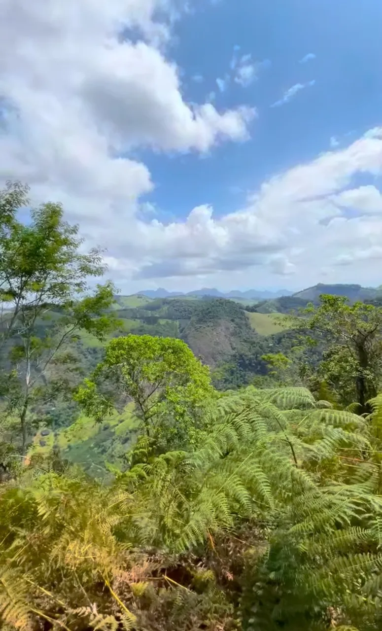 Terreno Agrícola 19 Hectares em Castelo/ES - Topografia Favorável, Fontes de Água e Histór