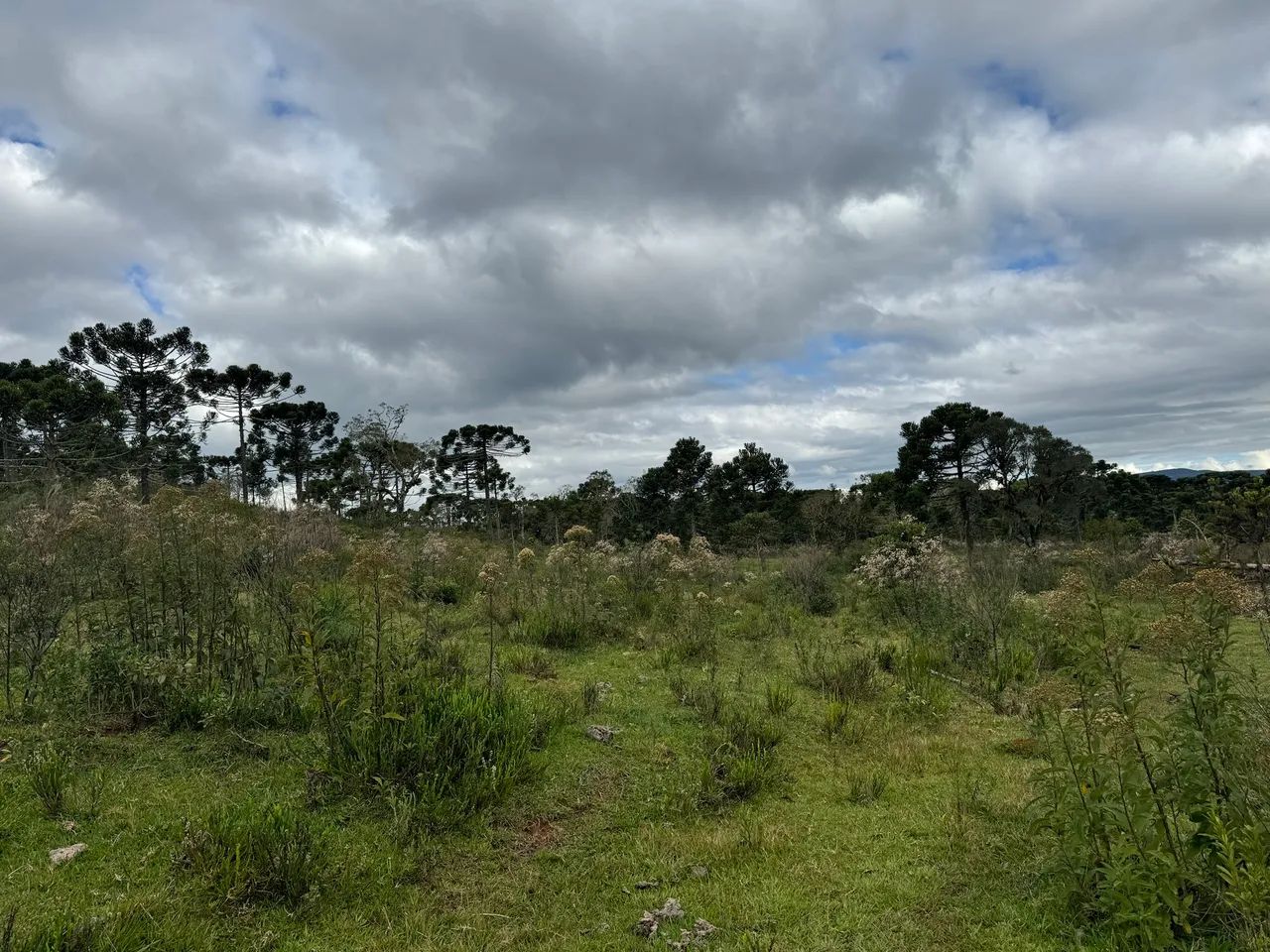 Sitio em Urubici/ Chácara em Urubici - Foto 5