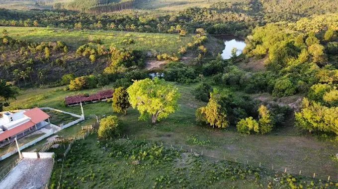 Terreno 5.000m² loteamento de Ranchos - Ipioca Ranch frente à Fazenda Carlinhos Maia - Foto 2