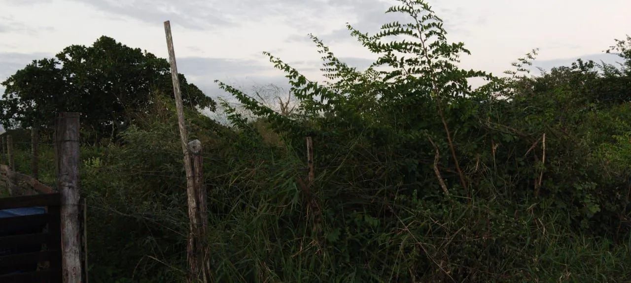 Foto - Feira de Santana - Conceição