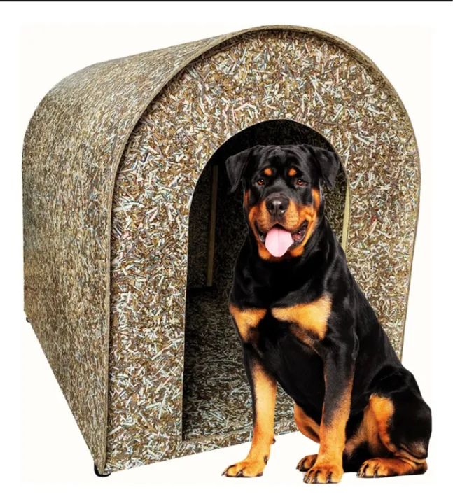 Casinha para cachorro em biodegradáveis n6