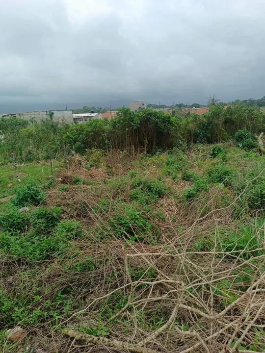 Terreno 5x25, proximo ao mercado atalaia no quarentenario  - Foto 3