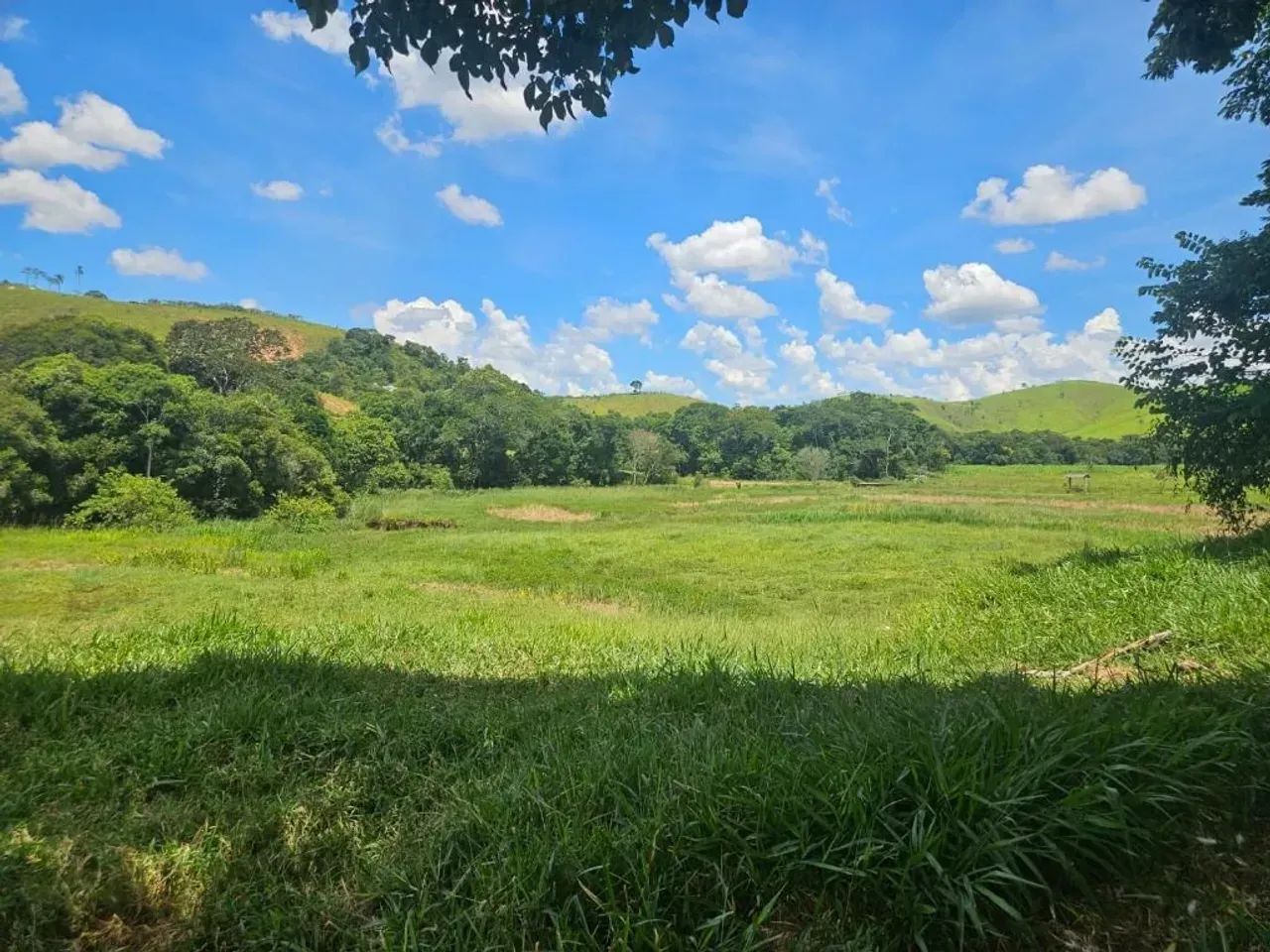 FAZENDA À VENDA | CUNHA/SP - Foto 5