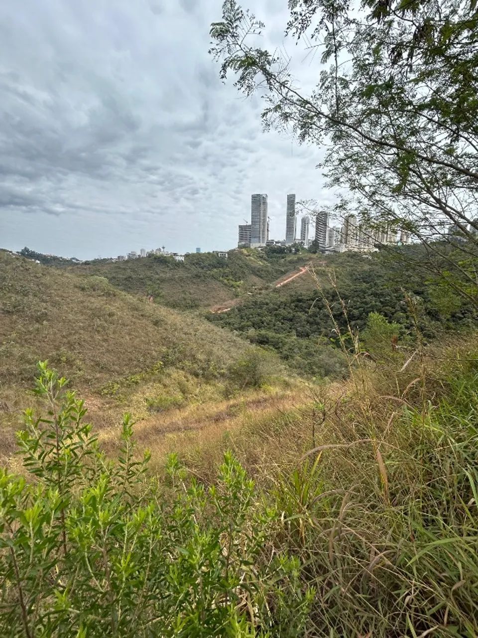 Foto - Nova Lima - Jardim da Torre