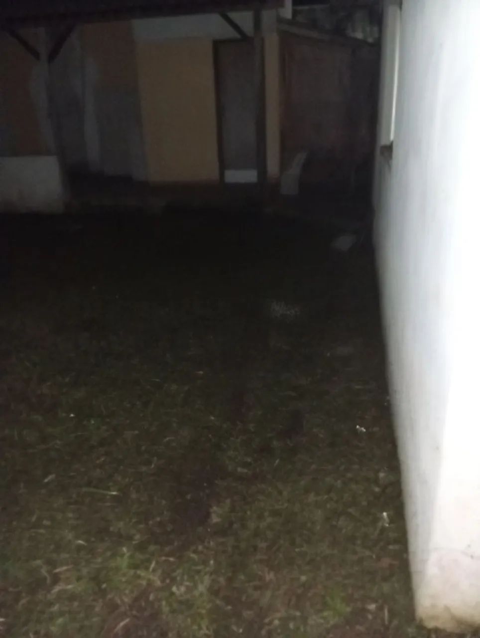 Corte gramas limpeza terrenos roçadas  - Foto 4