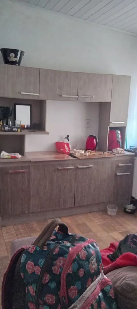 Golden Retriever disponíveis puros - Foto 4