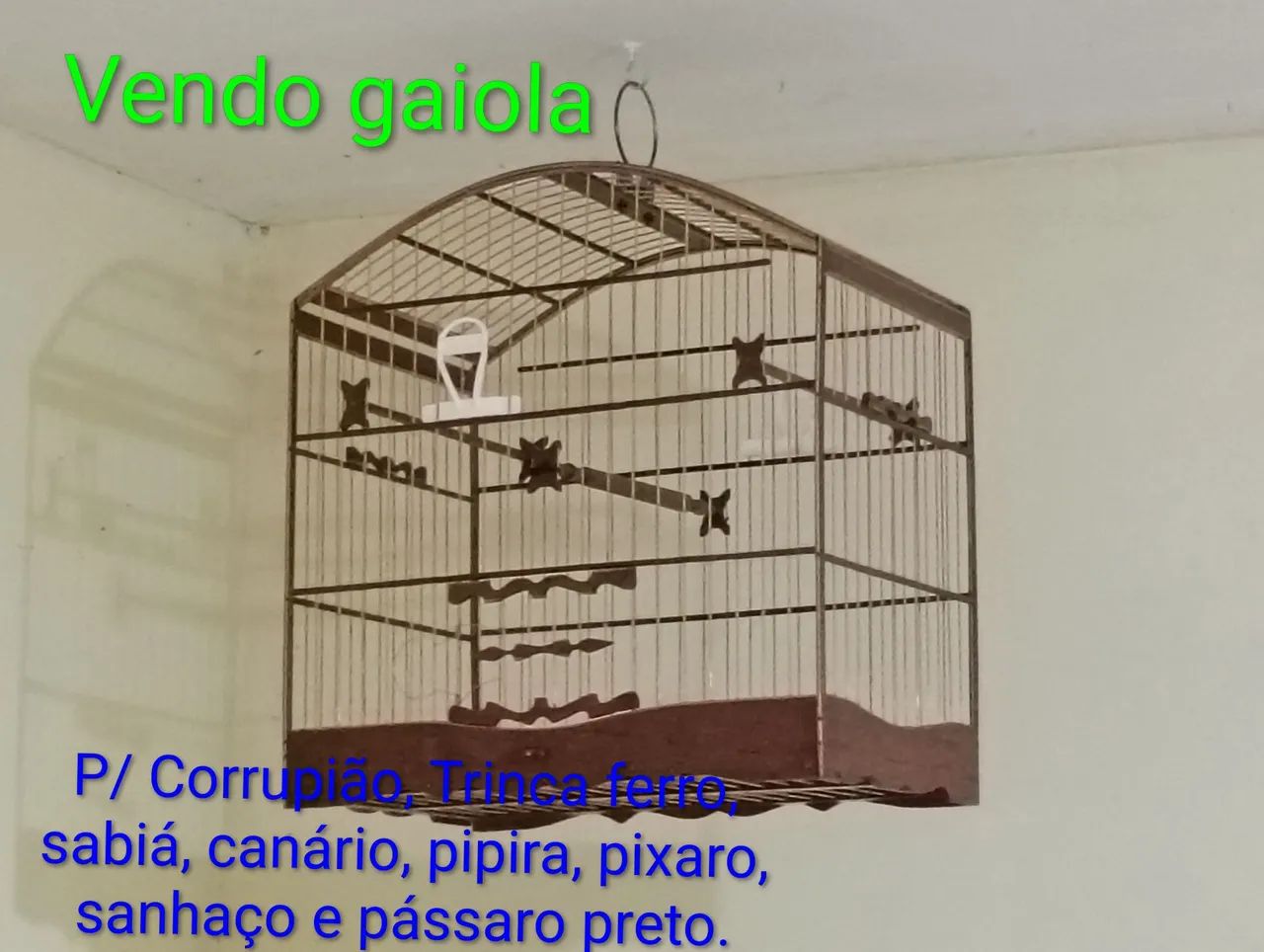 Gaiola  - Foto 3