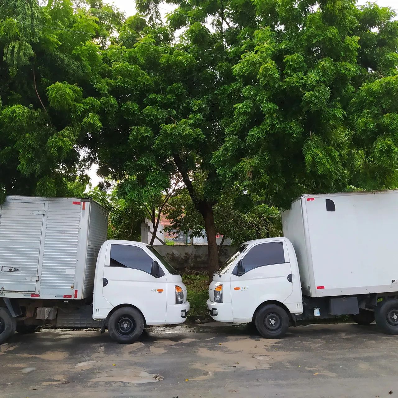 Frete/logística/Cambeba 