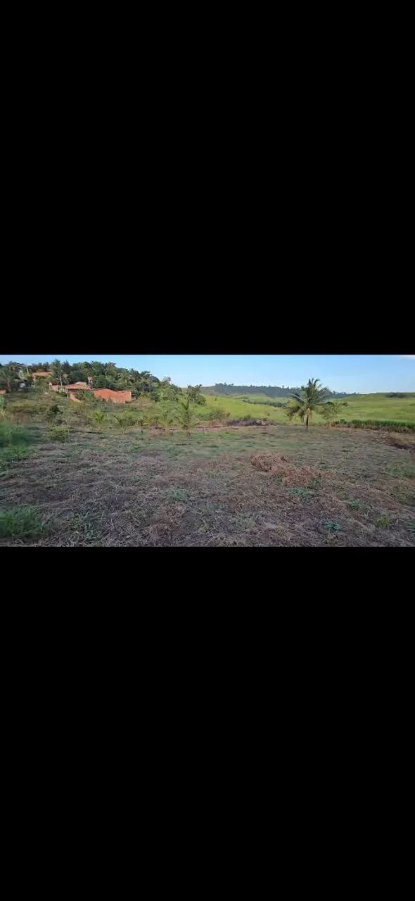 Sitio com 4 tarefas - Foto 5