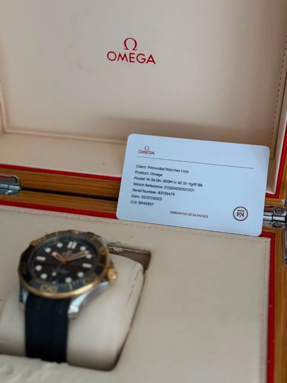 Omega Seamaster 300 - Foto 3