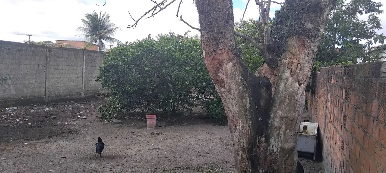 Terreno em Rio Largo, próximo ao aeroporto. - Foto 4