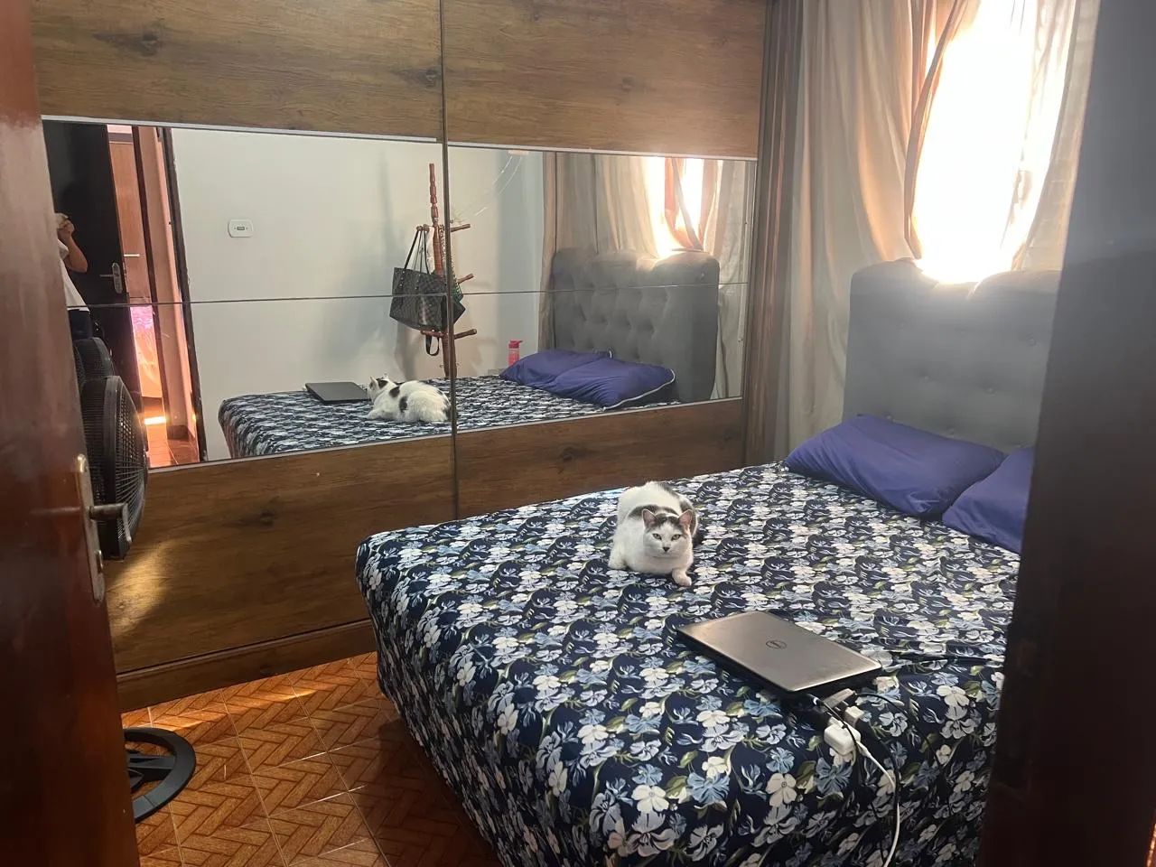 Vendo 2 casas individuais  - Foto 3