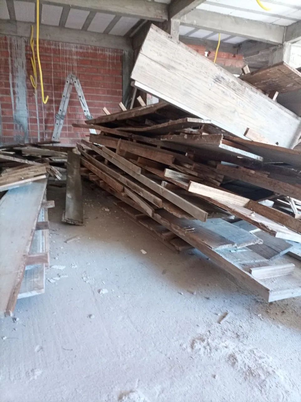 Escara de eucalipto tabua436600734127247361
