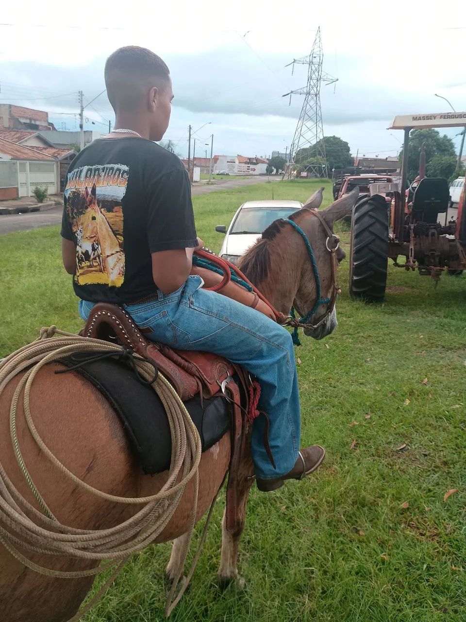 Burro manso para qualquer cavaleiro! - Foto 4