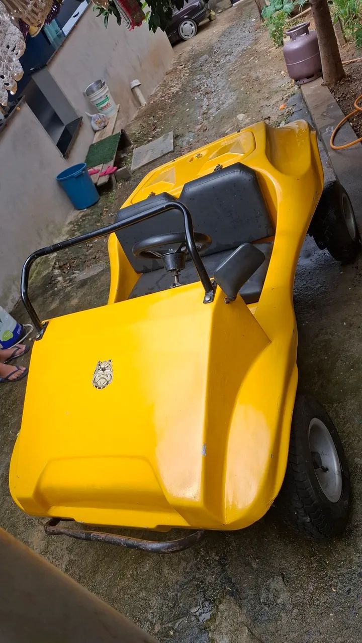 Buguy farpinha 