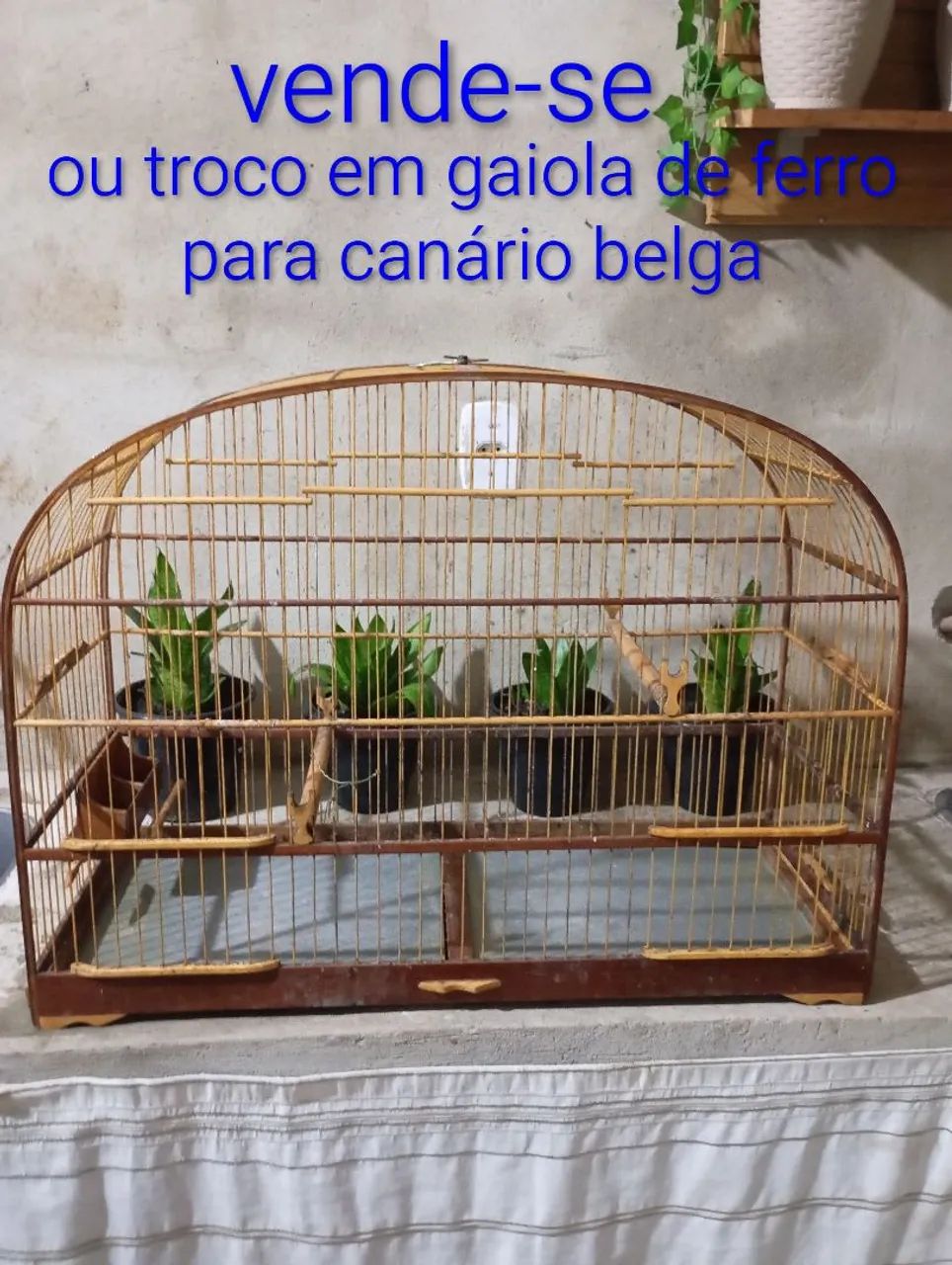 Troca