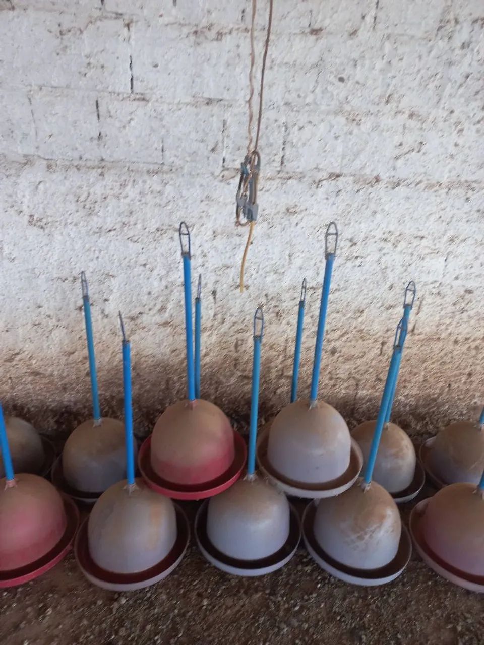 Comedouros e Bebedouros automático!!!