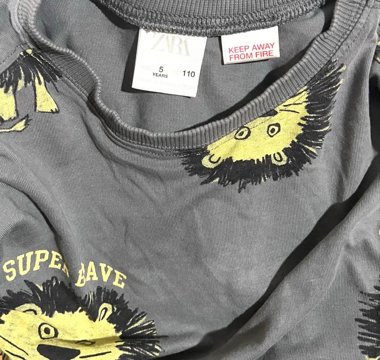 Camiseta manga longa cinza menino tam 5 anos Zara  - Foto 6