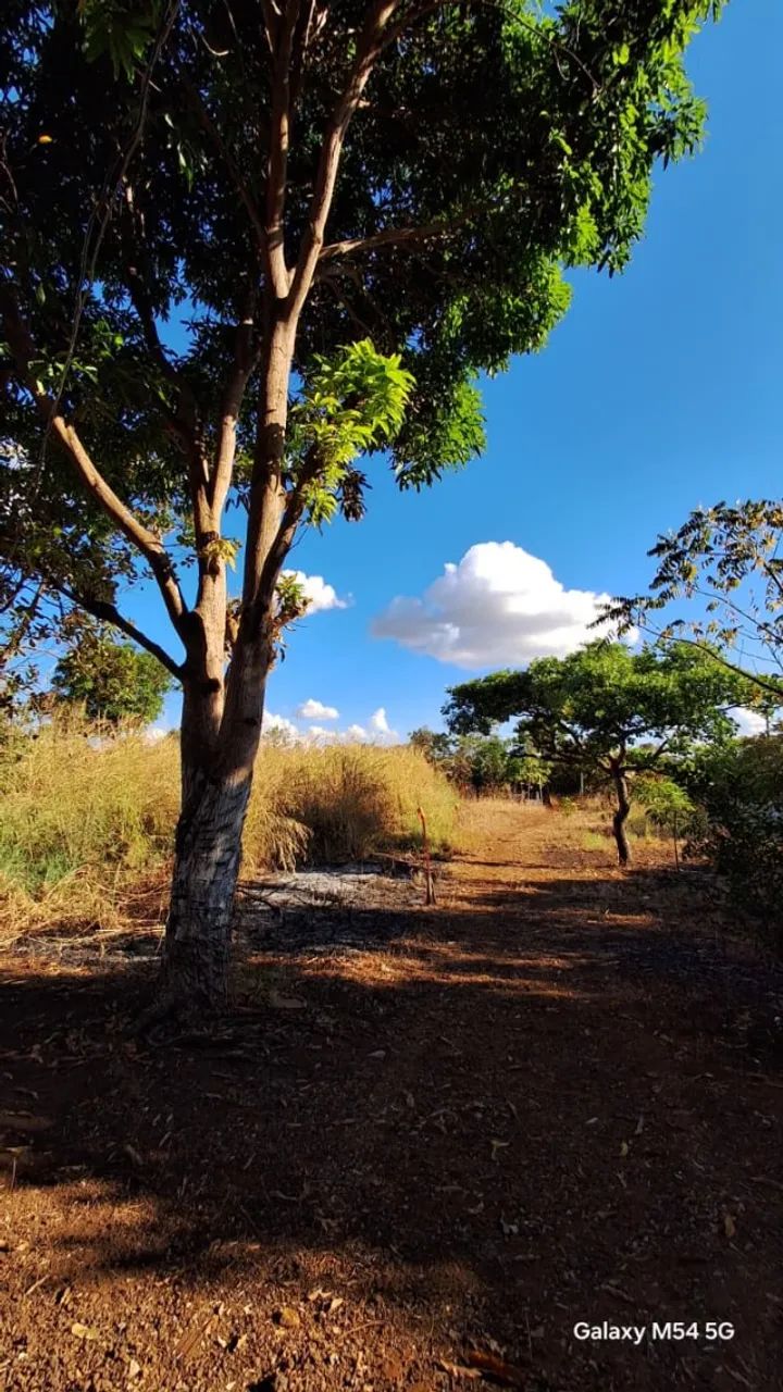 Chácara à Venda - Excelente Oportunidade com 4.000m² negociavel *