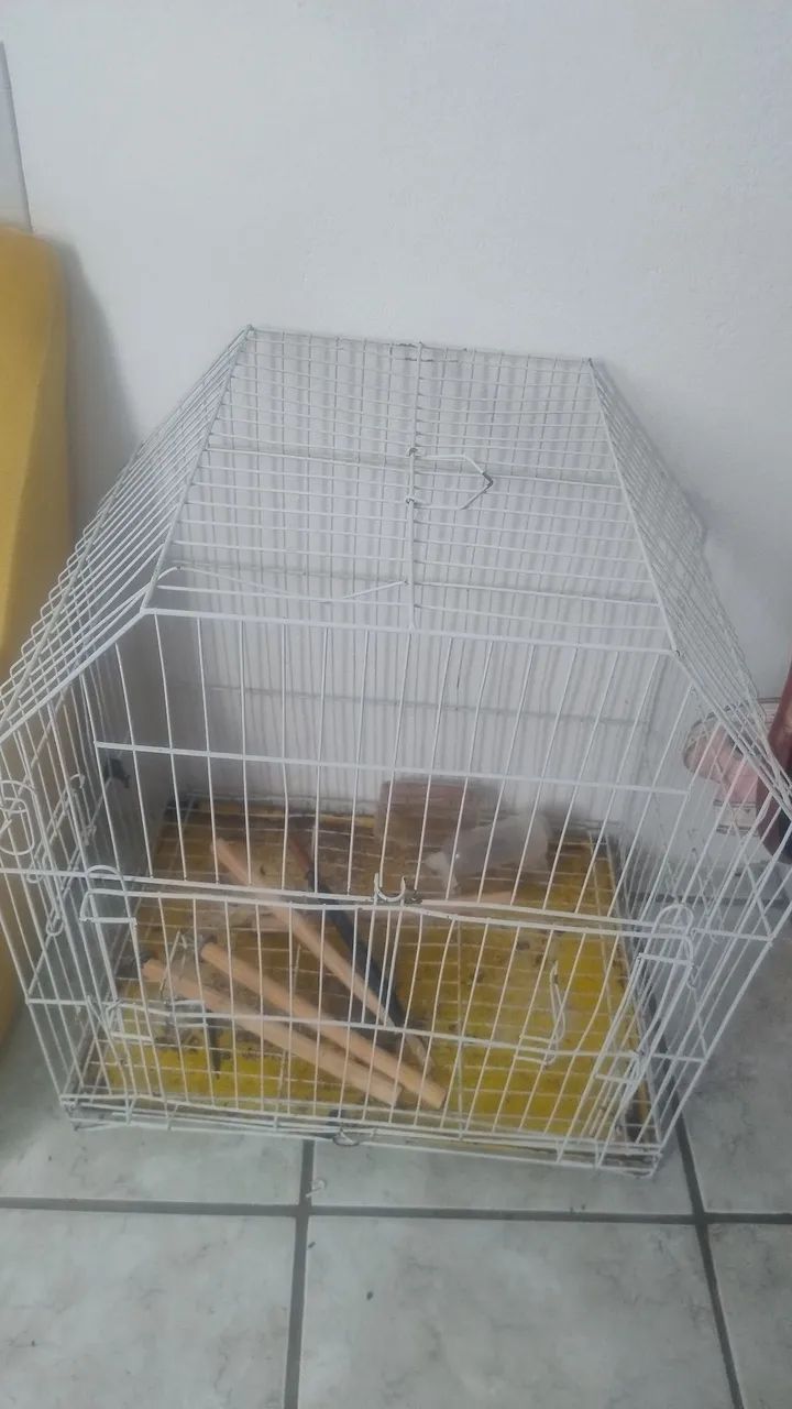Gaiola 