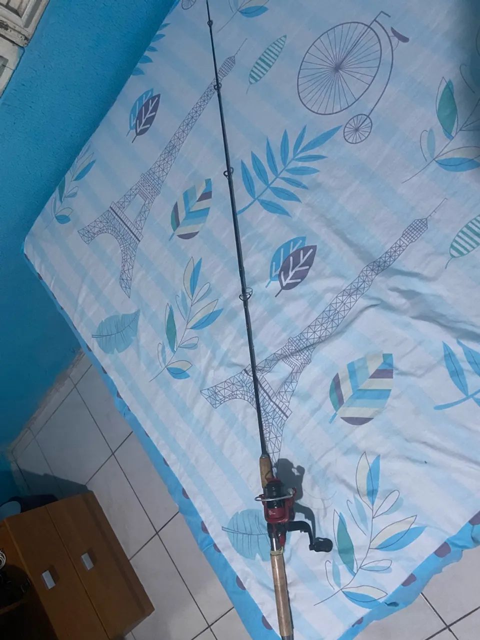 Vara de pescar com molinete 