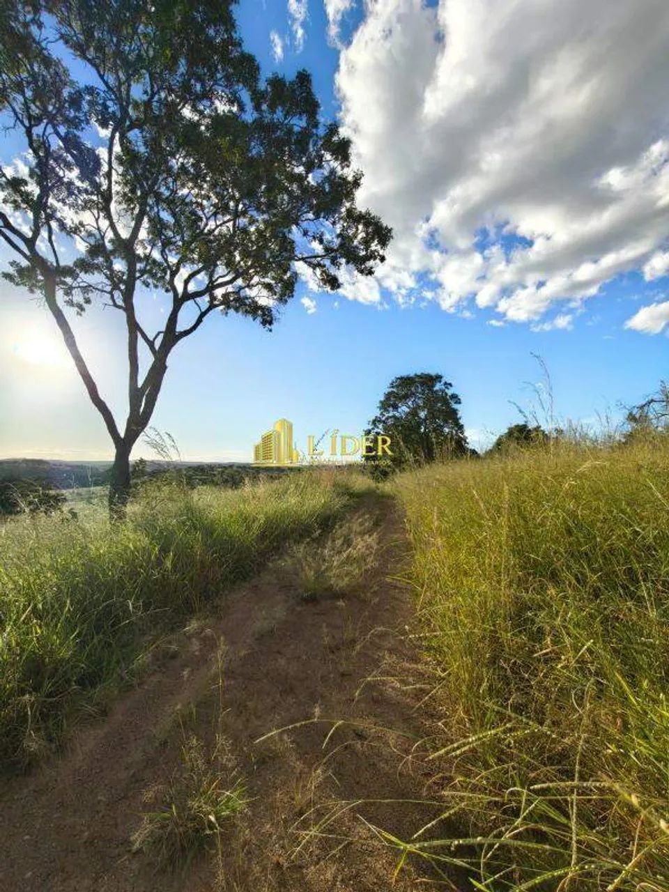 Fazenda na Área Rural de Ipameri - GO - Foto 4
